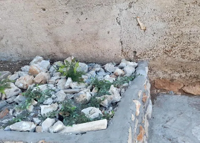 Sunny Mara 아파트