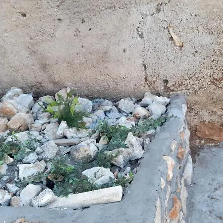 Sunny Mara アパート